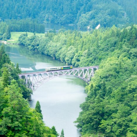 By 2028 New Train From Narita To Tokyo Skytree | Benefit For Budget Traveler And Short-Stay Visitors