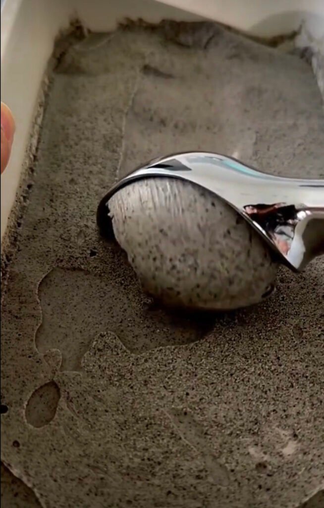 black sesame ice cream in hakone