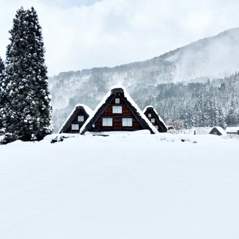 Snowboarding with Mount Fuji in Sight: A Complete Travel Guide to Fujiten Snow Resort