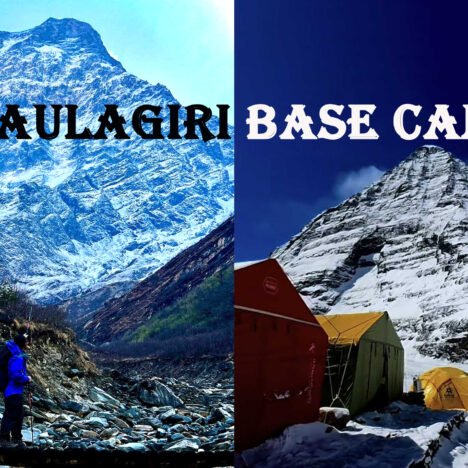 Winter Illuminations In Tokyo: Let’s Know Which One Is Best For You To Explore