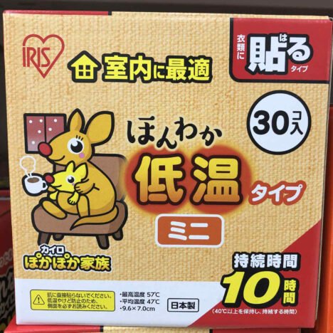 Nara, Japan: A Timeless Journey Through History and Nature