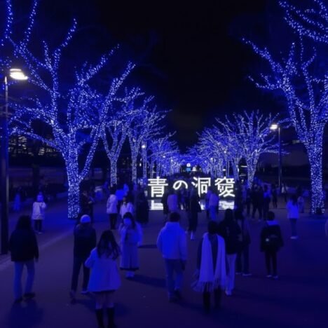 Dhaulagiri Trek Seventh-Highest Mountain In The World : Symbol Of Challenge & Beauty