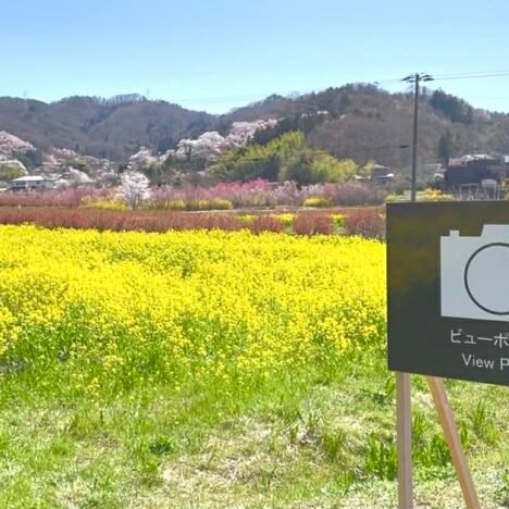 Best Place To Have A Soba In Tochigi Nasu | Suishakan